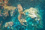 DSC02345.jpg
